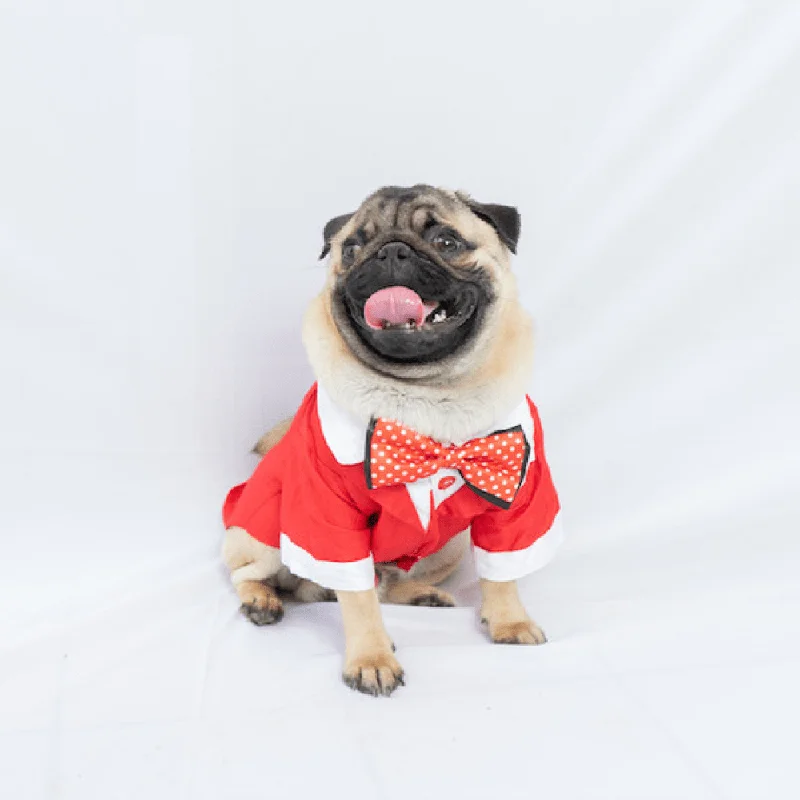 ---Pawgypets Tuxedo for Dogs and Cats (Red)
