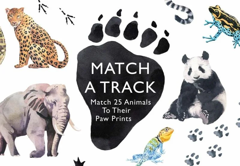 - Pet fence foldable indoorMatch a Track