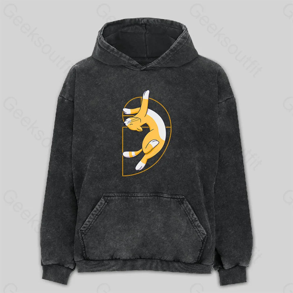 Fibonacci Spiral Cat Washed Hoodie